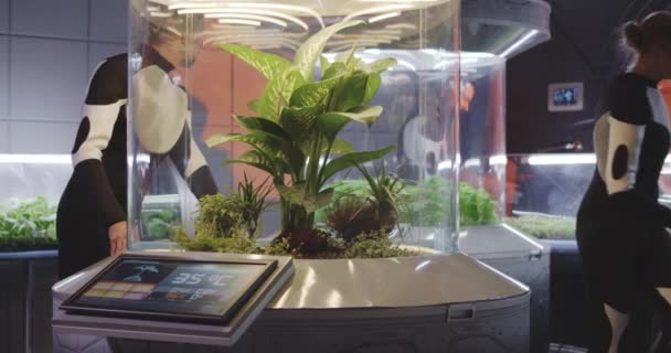 Astrobiologistes examinant incubateur de plantes — Video