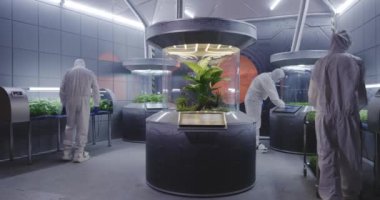 Hazmat takım elbisebilim adamları bitki kuluçka kontrol