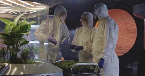 Oamenii de știință examinează răsadurile într-un laborator — Videoclip de stoc