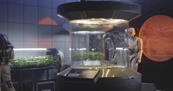 Astronauts and robot examining plant incubator — Stock Video
