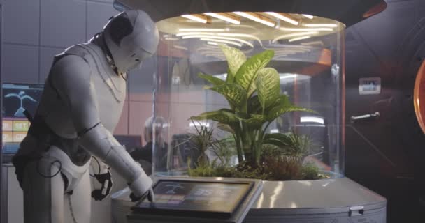 Robot die werkt met een planten incubator — Stockvideo