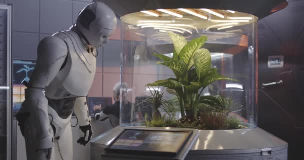 Robot dolgozik egy növény inkubátor — Stock videók