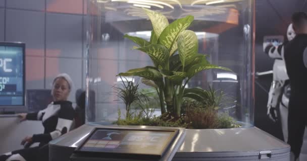 Scientifique travaillant avec un incubateur de plantes — Video