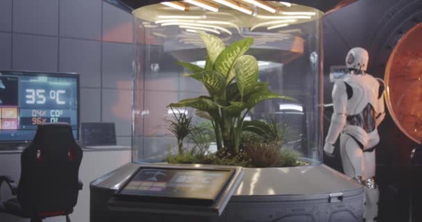 Robot die werkt met een planten incubator — Stockvideo