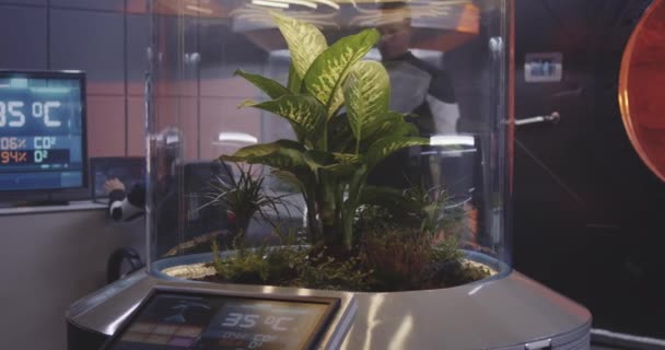 Mannelijke wetenschapper werkzaam bij planten incubator — Stockvideo