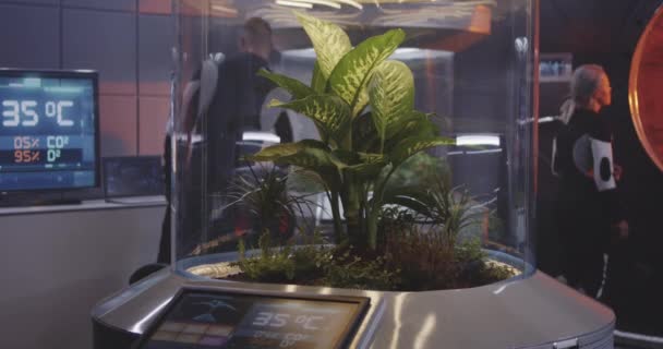 Bitki kuluçka makinesi ile çalışan erkek bilim adamı — Stok video