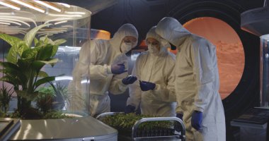 Laboratuvarda fide leri inceleyen bilim adamları