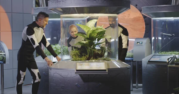 Astrobiólogos examinando incubadora de plantas — Foto de Stock