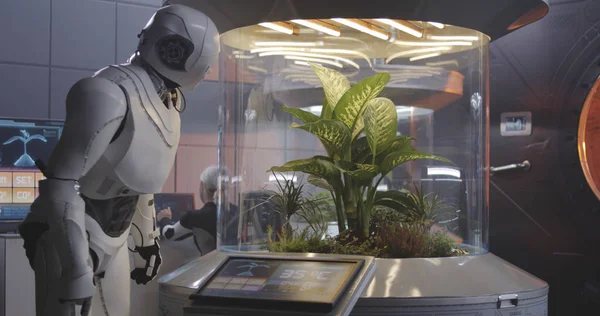 Robot som arbetar med en Plant inkubator — Stockfoto