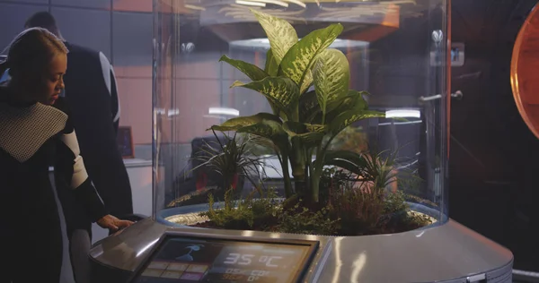 Naukowiec pracujący z inkubatorem roślin — Zdjęcie stockowe