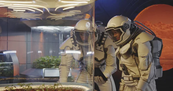 Astronauci badający inkubator roślin — Zdjęcie stockowe