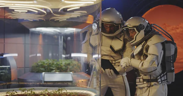 Astronauter som undersöker växtinkubator — Stockfoto
