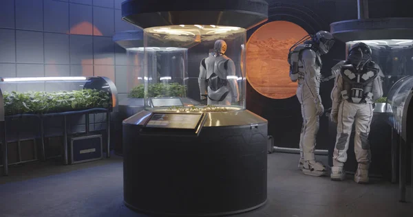 Astronauts and robot examining plant incubator — Stock Photo, Image