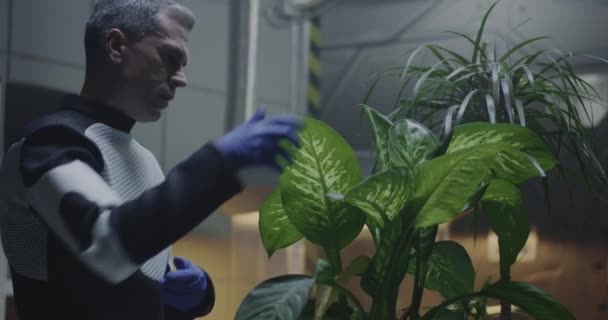 Naukowiec badający roślinę doniczkową w bazie Marsa — Wideo stockowe