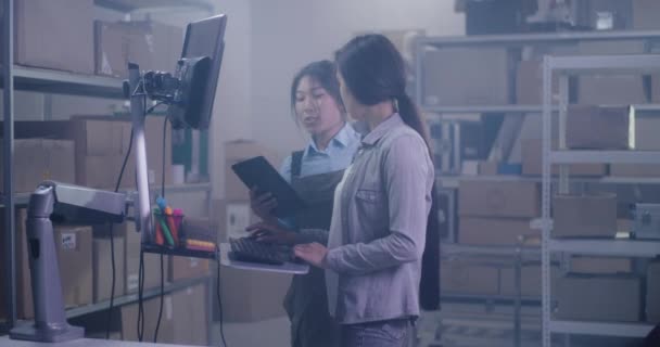 Pracovníci kontrolující informace v počítači — Stock video