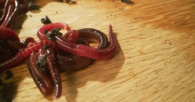 Tahta yüzeyde sürünen solucan.