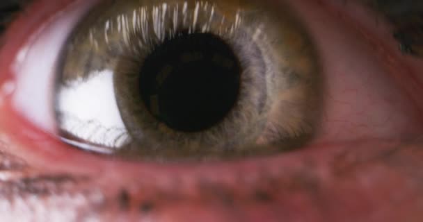 Зрачки серых глаз контракты — стоковое видео