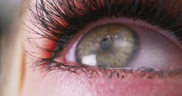Auge mit Wimperntusche — Stockvideo