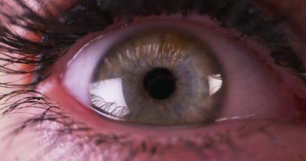 Серый глаз смотрит прямо в камеру — стоковое видео