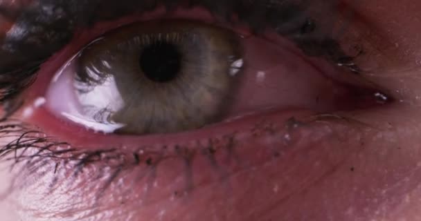 Graues Auge mit Wimperntusche — Stockvideo