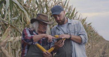 Erkek çiftçiler tarlada mısırdan bahsediyorlar.