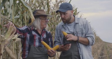 Mısır ve internet verilerini karşılaştıran çiftçiler