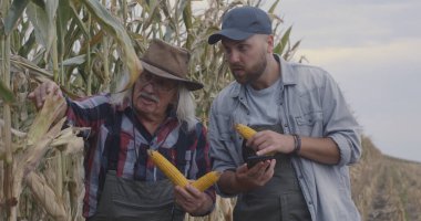 Mısır ve internet verilerini karşılaştıran çiftçiler