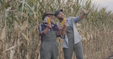 Çiftçiler mısırla selfie çekiyorlar.