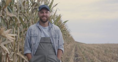 Mısırı tarlada inceleyen mutlu çiftçiler