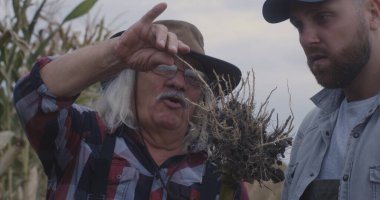 Erkek çiftçiler bitki köklerini inceliyor.