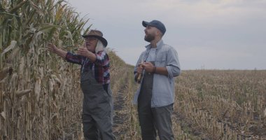 Kıdemli çiftçi torunla bilgeliğini paylaşıyor