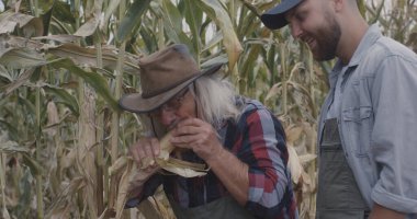 Neşeli çiftçi torununa olgun mısır gösteriyor.