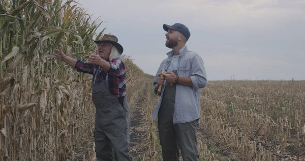 Kıdemli çiftçi torunla bilgeliğini paylaşıyor