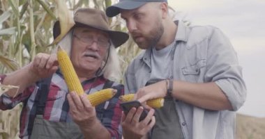 Erkek çiftçiler tarlada mısırdan bahsediyorlar.
