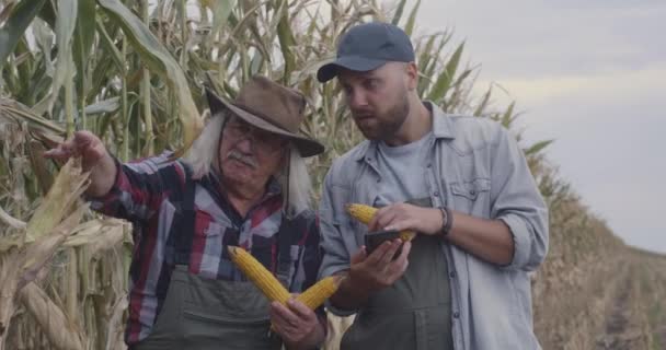 Kukoricát az internetes adatokkal összehasonlító gazdálkodók — Stock videók