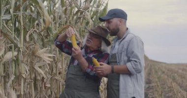 Mısırı tarlada inceleyen mutlu çiftçiler