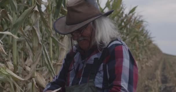 Selbstbewusster älterer Bauer auf dem Feld — Stockvideo