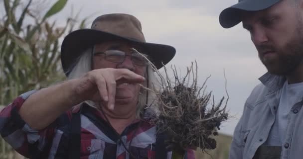 Campesinos examinando raíces vegetales — Vídeos de Stock