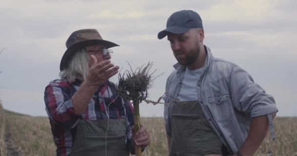 Фермеры спорят в сельском хозяйстве — стоковое видео