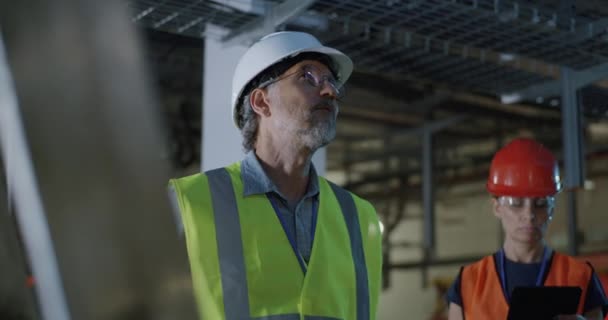 Enerji santrali denetimi sırasında mühendis asistanıyla konuşuyor. — Stok video