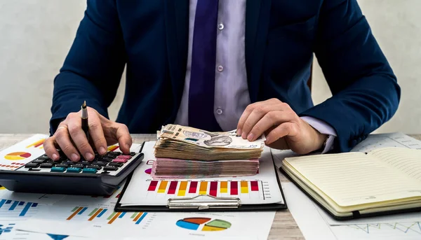 Takım elbiseli genç işadamı Hryvnia parasını sayar ve aylık net gelir olarak çizelge ve belgelerle çalışır. Para kavramı maaş ya da yolsuzluktur. Ofiste çalış..