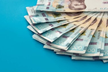 - Evet. Ukrayna 'nın parası 1000 Hryvnia, Ukrayna banknotu mavi arka planda izole edildi