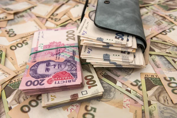 Деньги Женского Кошелька Наличными Украинская Гривна — стоковое фото