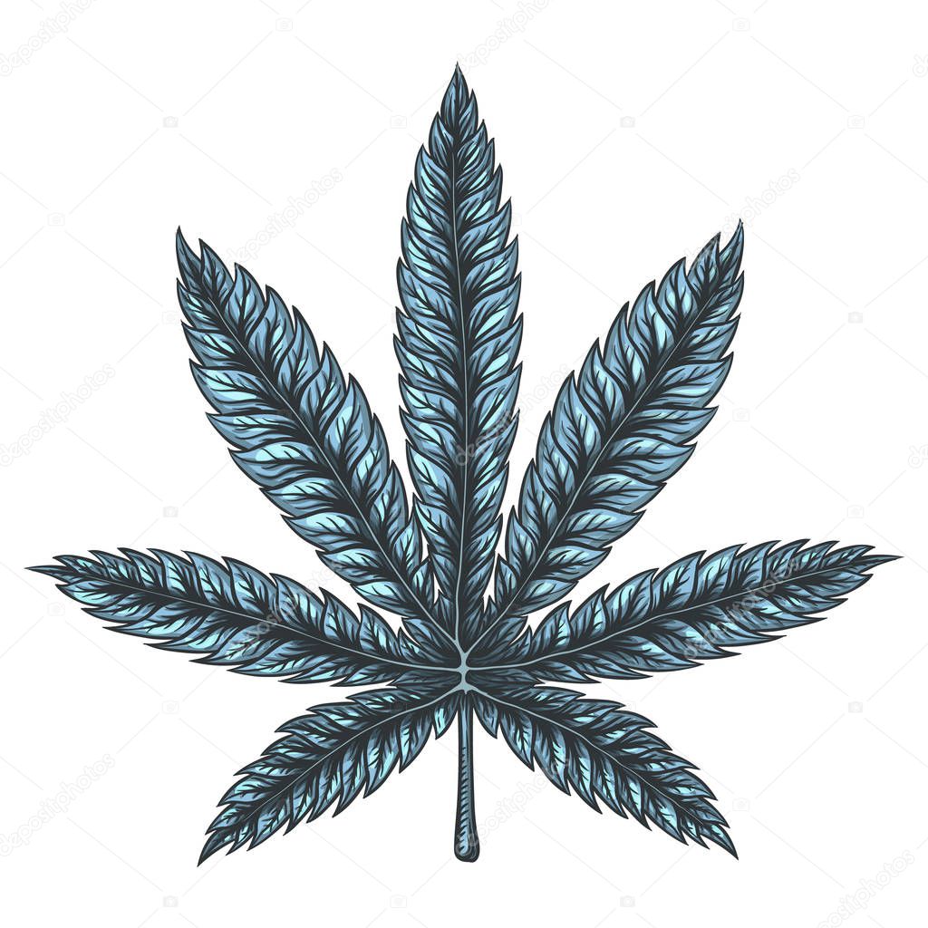 Cannabis leaf. Hand drawn isolated vector illustration.