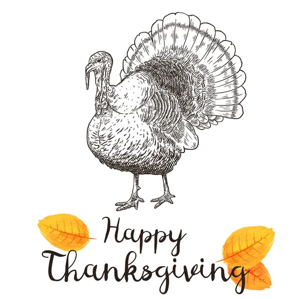 Ilustração vetorial desenhada à mão de peru para um feriado de Ação de Graças . — Vetor de Stock
