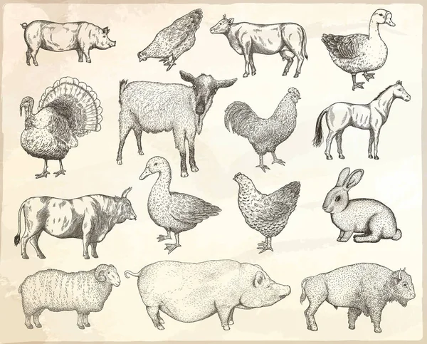 Collectie van landbouwhuisdieren. Eps10 geïsoleerd vectorillustraties. — Stockvector