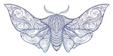Psychedelic tasarım soyut mistik Moth. Vektör Illustration.