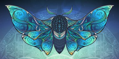 Psychedelic tasarım soyut mistik Moth. Vektör Illustration.