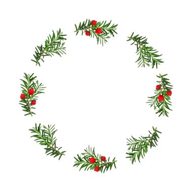 Yuvarlak Noel tatili çerçevesi, kozalaklı dallar ve beyaza izole edilmiş kırmızı dekoratif böğürtlenler. Kutlama kartları, davetiyeler, kolajlar için kış tatili çelengi.