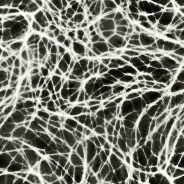 Рентген Органічних Тканин Клітини Під Мікроскопом Безшовна Органічна Ілюзія — стокове фото